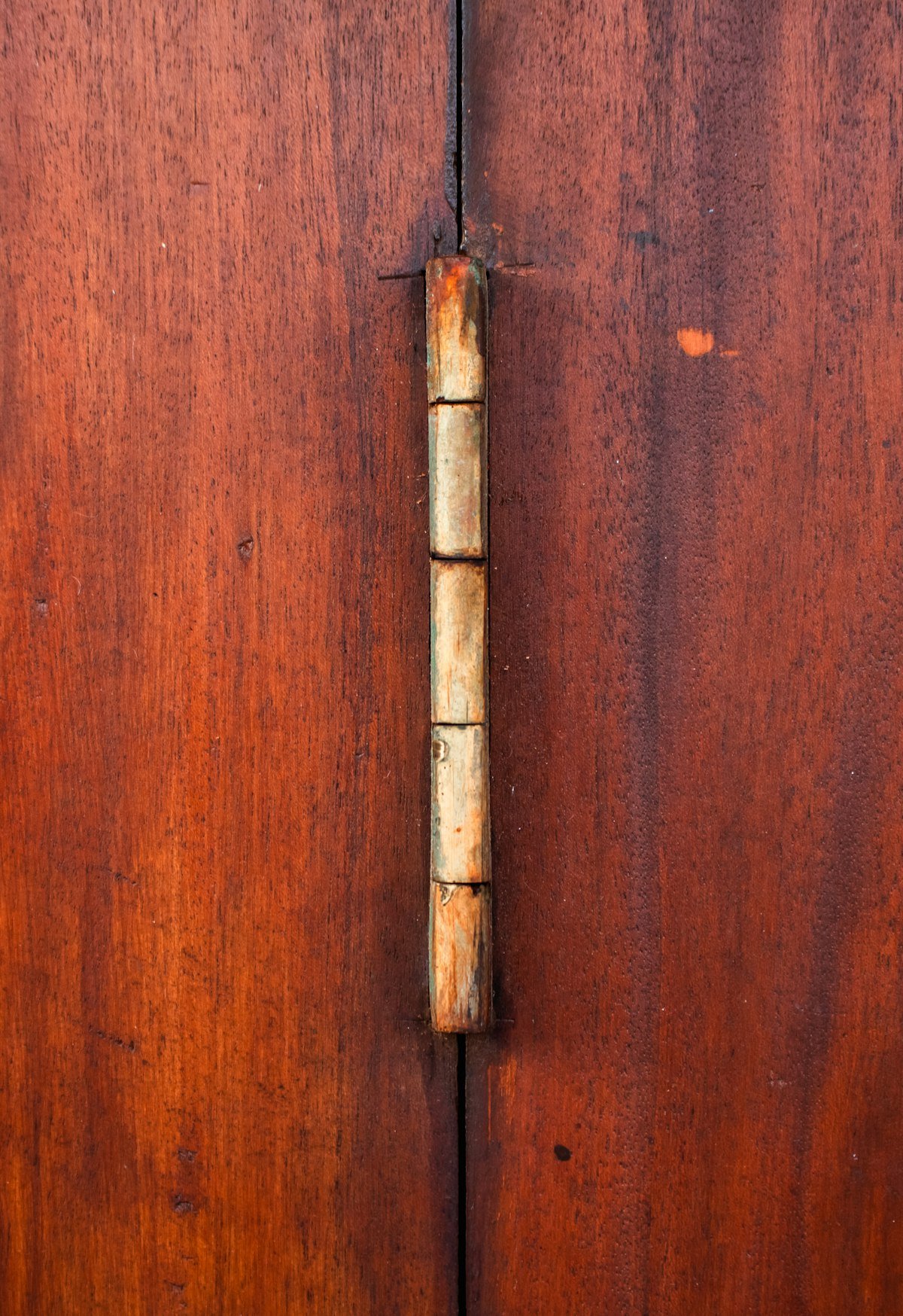 Close-up of a metal hinge on a wooden door