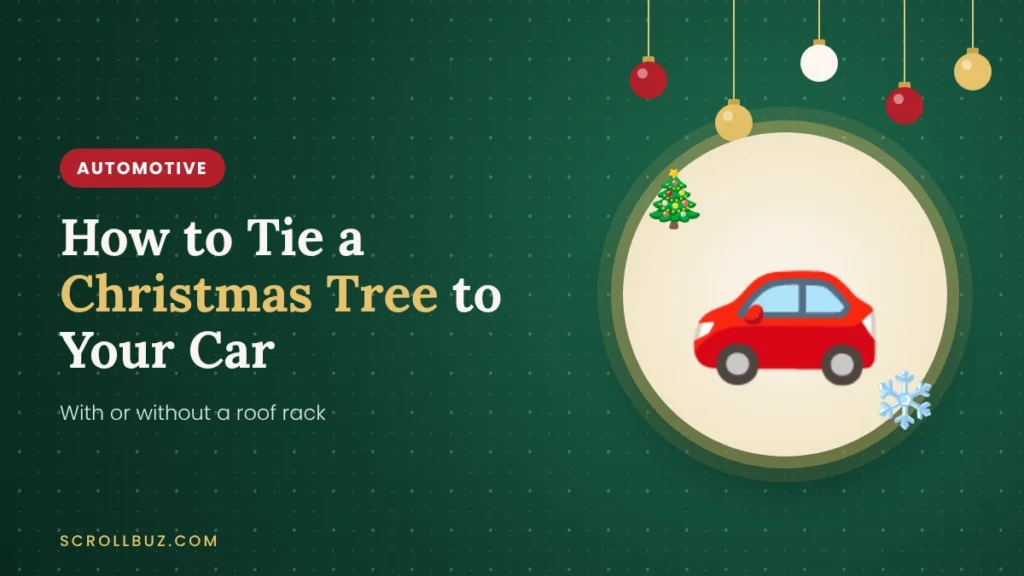 How to tie a Christmas tree to your car roof with or without a roof rack