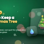 How to Keep a Christmas Tree Alive: 5 Steps That Keep Needles Green